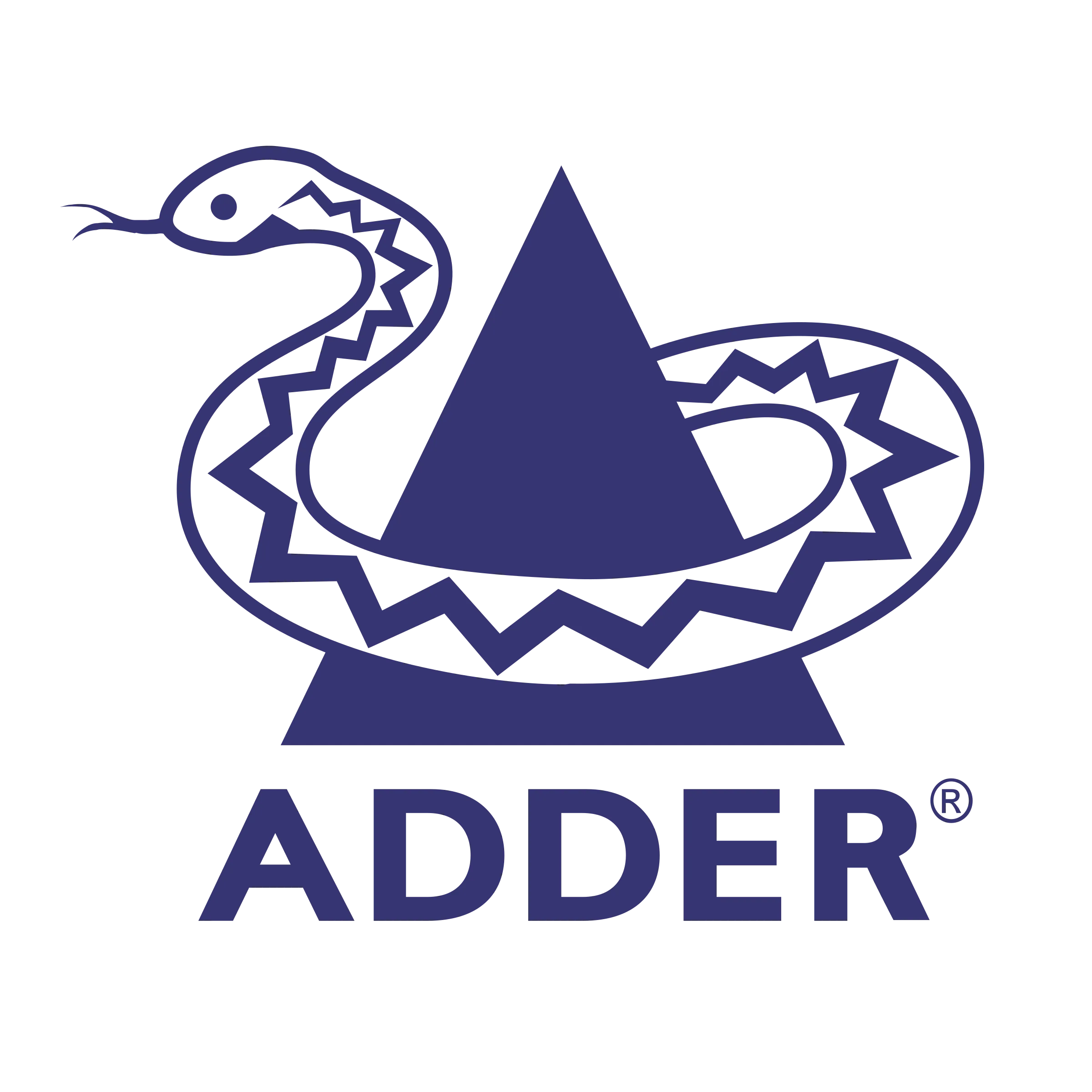 Adder Technology logo - B2B data centre technology solutions provider
